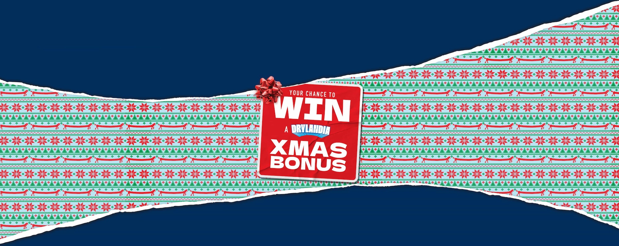 Carlton Dry x IBA Xmas Bonus Promotion
