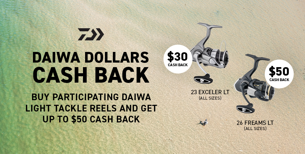 Daiwa Dollars Winter Cash Back