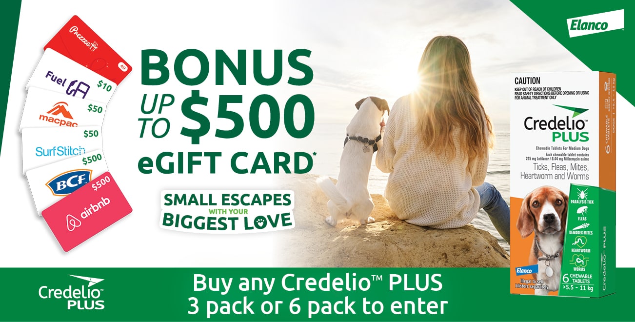 Credelio PLUS Independent Small Escapes 2023