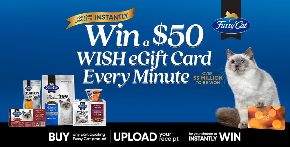 Fussy Cat Promotion